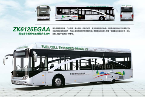宇通客车ZK6125EGAA