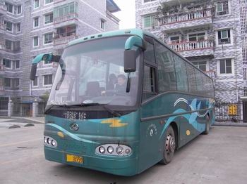 出售金龙
