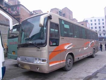 出售金旅
