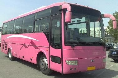 03年出厂登记宇通四十二座豪华大客车