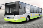 扬子江WG6120BEVHM公交车(纯电动29-45座)