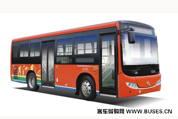 黄海DD6811B01N公交车(天然气国五15-30座)