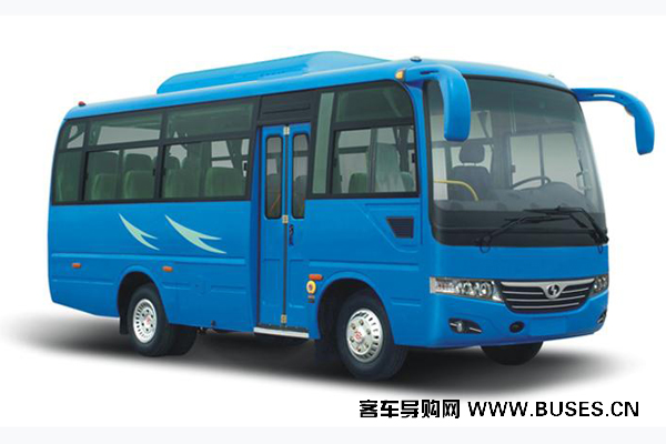 少林SLG6690T5Z客车(天然气国五10-23座)