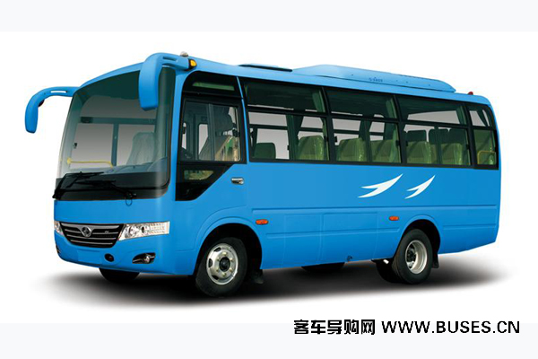 少林SLG6660T5F客车(天然气国五10-23座)