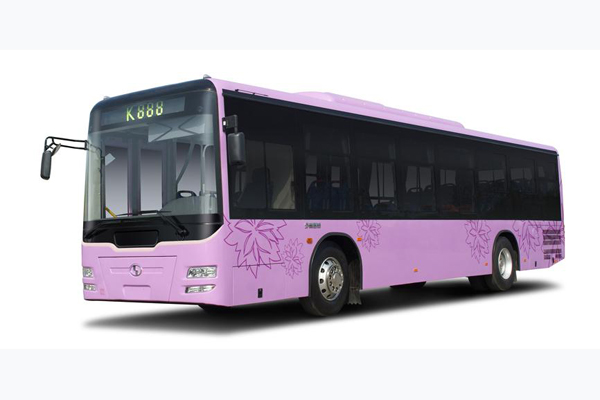 少林SLG6105T5GFR公交车(天然气国五10-42座)