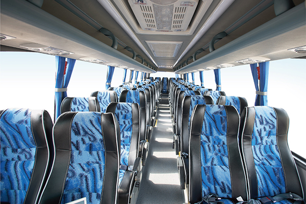 申龙SLK6118ALD5客车（柴油国五24-52座）