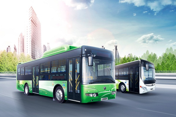 宇通ZK6125HNGB公交车(天然气国五10-46座)