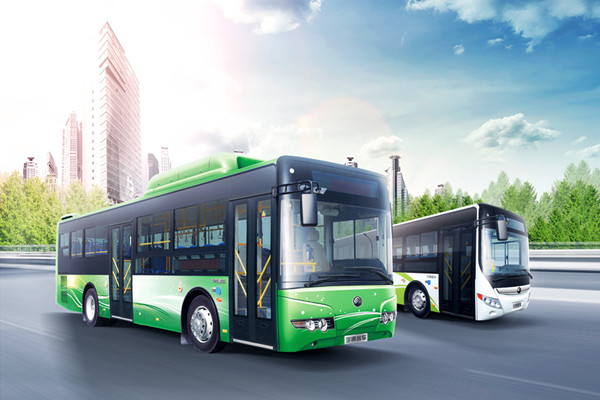 宇通ZK6105HNGS1公交车(天然气国五24-66座)