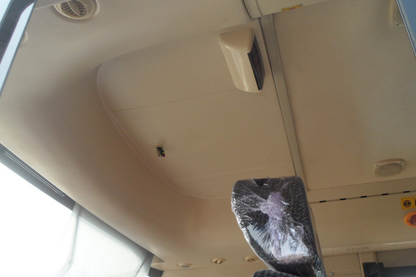 中通LCK6670EV1客车(纯电动10-23座)