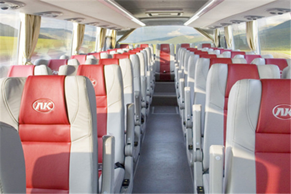 安凯HFF6101TK10D客车(柴油国四24-49座)