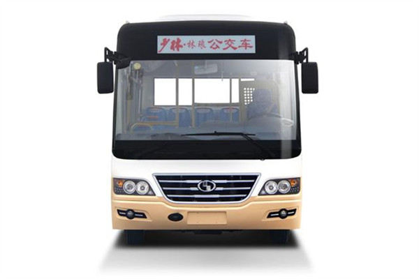 少林SLG6730C5GF公交车(柴油国五10-29座)