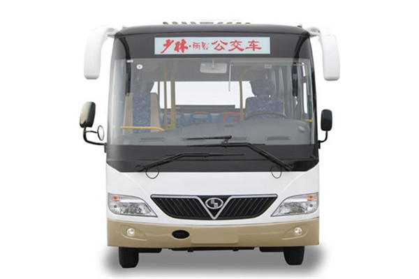 少林SLG6608C5GE公交车(柴油国五10-18座)