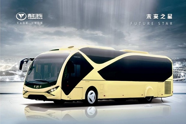 青年JNP6123BEV31M公交车(纯电动10-42座)