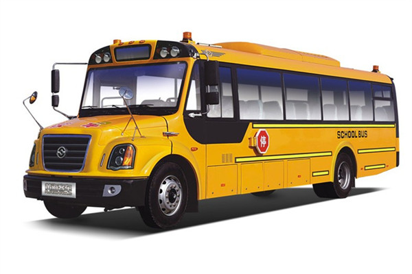 黄海DD6100C05FX小学生专用校车(柴油国五24-56座)