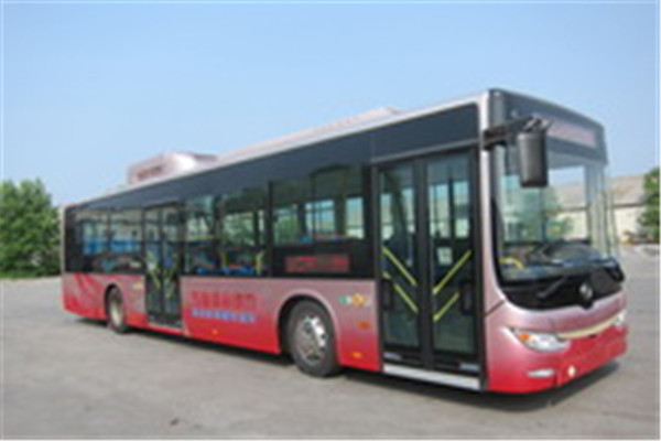黄海DD6129CHEV6N公交车(LNG/电混动国五18-42座)