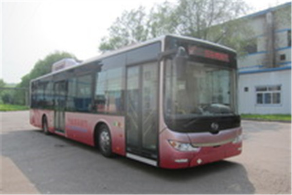 黄海DD6129CHEV6N公交车(LNG/电混动国五18-42座)