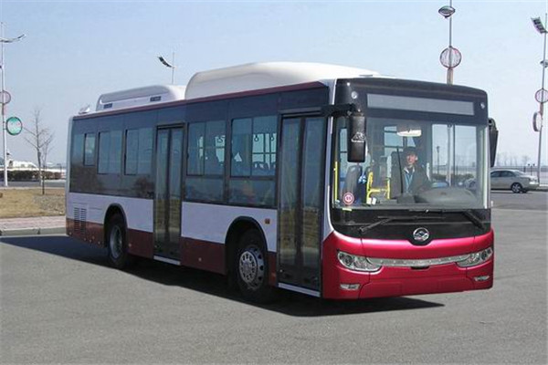 黄海DD6109B23N公交车(天然气国五18-39座)