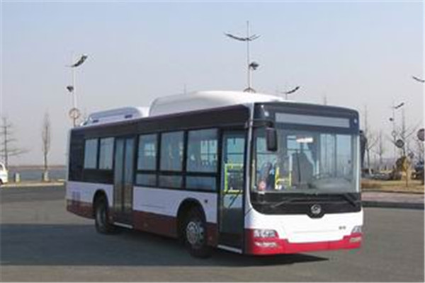 黄海DD6109B23N公交车(天然气国五18-39座)