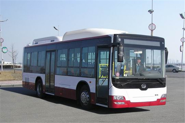 黄海DD6109B23N公交车(天然气国五18-39座)