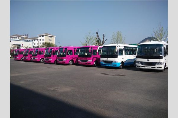 东风EQ6662L5N1客车(天然气国五24-26座)