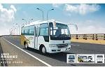东风DFH6600C1公交车(天然气国五10-18座)
