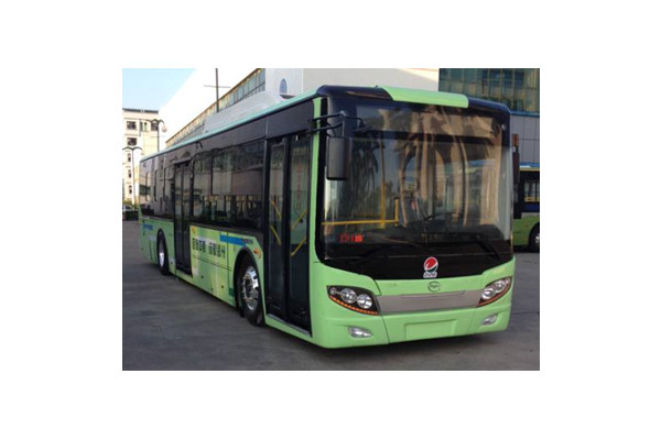 五洲龙FDG6121EVG公交车(纯电动10-31座)