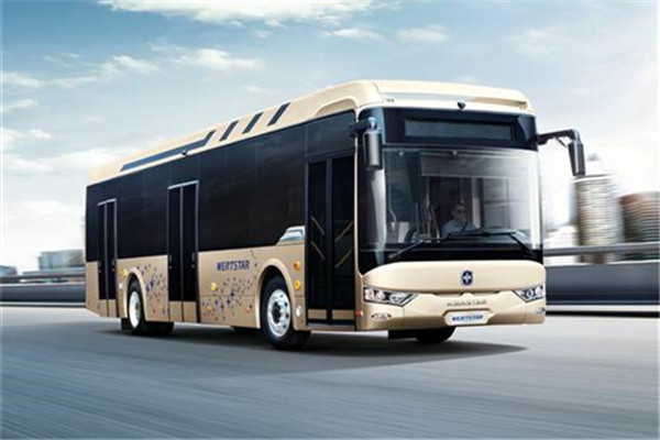 亚星JS6116GHCP公交车(天然气国五20-46座)