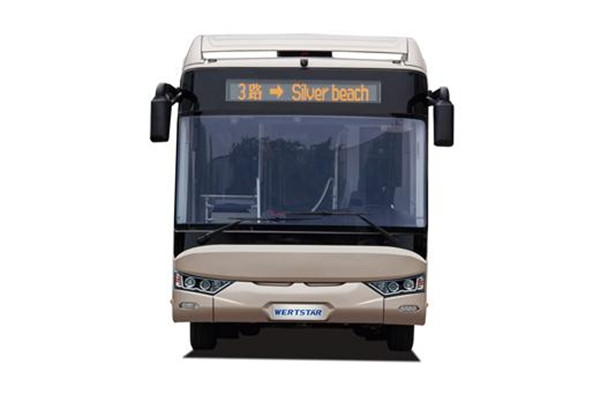 亚星JS6116GHCP公交车(天然气国五20-46座)