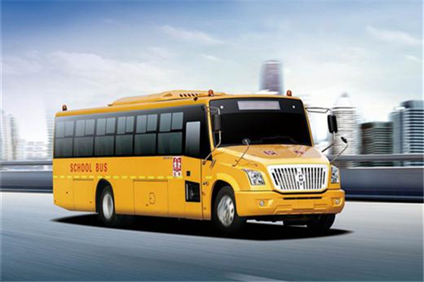 亚星JS6900XCP小学生专用校车(柴油国五24-47座)