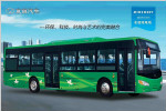 友谊ZGT6110BEV公交车(纯电动38座)