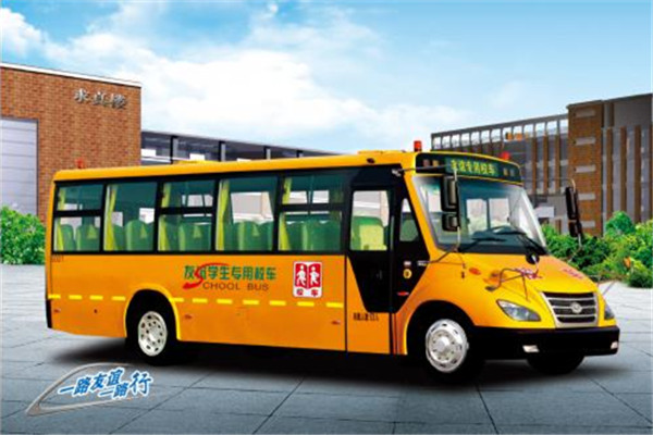 友谊ZGT6920DVX小学生专用校车(柴油国五24-53座)