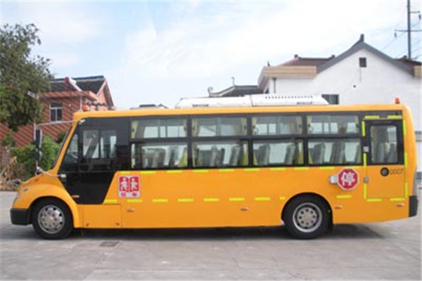 友谊ZGT6920DVX小学生专用校车(柴油国五24-53座)