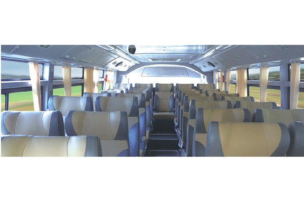 扬子江WG6821BEVHK1客车(纯电动24-33座)