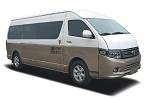 扬子江WG6612BEVZ客车(纯电动10-17座)