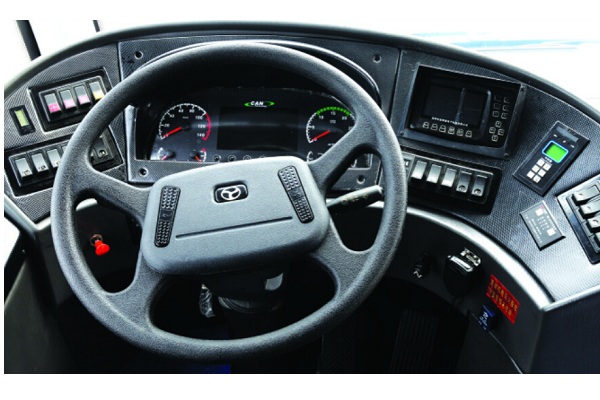 扬子江WG6120DHAS公交车(纯电动28-44座)