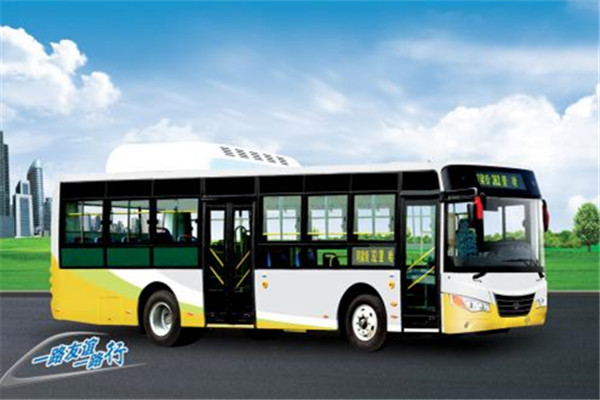 友谊ZGT6109NV公交车(天然气国五15-41座)