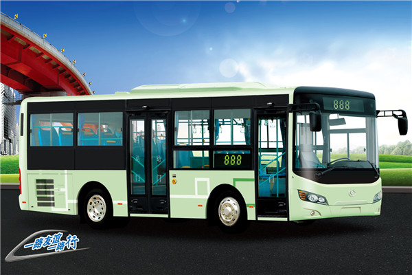 友谊ZGT6862DHV公交车(柴油国五18-31座)