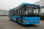 奇瑞万达WD6125EHEV1公交车(天然气/电混动国五17-36座)