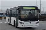 福田欧辉BJ6856C6BCB公交车(天然气国五16-30座)