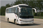 金龙XMQ6759AYN5C客车(天然气国五24-33座)