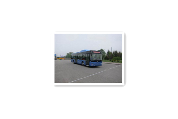 黄海DD6129PHEV1N公交车(天然气/电混动国五18-42座)