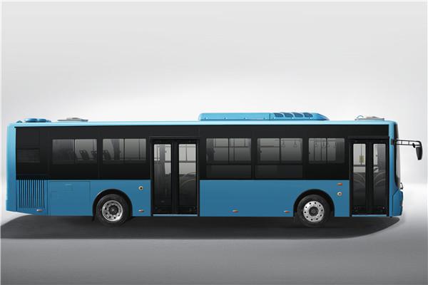 中车电动TEG6129BEV06公交车(纯电动10-38座)