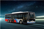 中植CDL6100UWBEV公交车(纯电动10-18座)