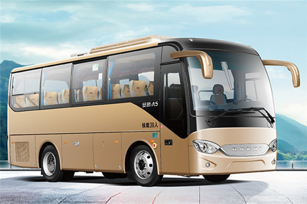 安凯HFF6781KD1E5B1客车(柴油国五10-23座)