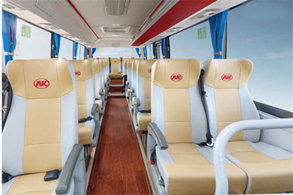 安凯HFF6781KD1E5B1客车(柴油国五10-23座)