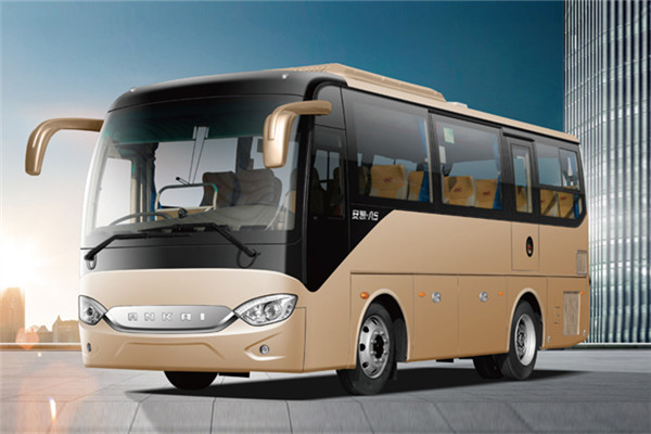 安凯HFF6781KD1E5B1客车(柴油国五10-23座)