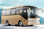 安凯HFF6781KDE5B客车(柴油国五24-32座)