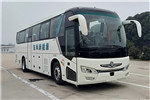 东风旅行车DFA6118LBEV客车(纯电动24-50座) 东风旅行车DFA6118LBEV客车(纯电动24-50座)