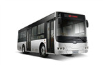 中车电动TEG6105BEV09公交车(纯电动20-39座) 中车电动TEG6105BEV09公交车(纯电动20-39座)