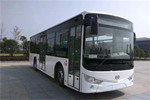安凯HFF6100G03CHEV26插电式公交车(NG/电混动国五18-36座)